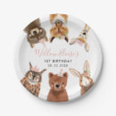 Search for raccoon plates Woodland animals