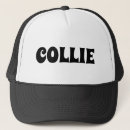Search for collies hats Dog