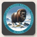 Search for alaska coasters Arctic