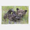 Search for brown bear tea towels Animals in the wild