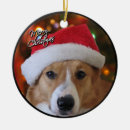Search for pembroke welsh corgi christmas tree decorations Xmas