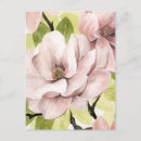Search for magnolia postcards Botanical