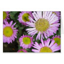 Search for mois Flower