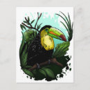 Search for toucans postcards Rainforest