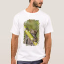 Search for zoology tshirts Amphibian