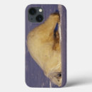 Search for wildlife ipad cases Churchill