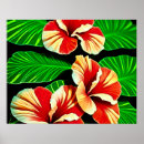 Search for hibiscus flower posters Green