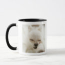 Search for dog toys mugs Horizontal