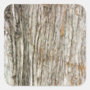 Search for tree trunk stickers Wood