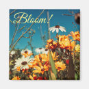 Search for orange daisy magnets Flowers