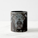 Search for pit bull terrier mugs Pet