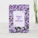 Search for phlox Pretty