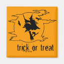 Search for black cat magnets Wicca