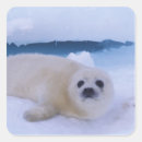 Search for harp envelope seals Snow