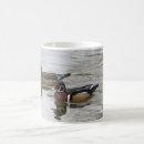 Search for wood duck mugs Ducks