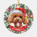 Search for cockapoo christmas tree decorations Poodle