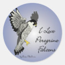 Search for falcon stickers Peregrine