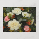 Search for carnations postcards Bouquet