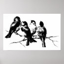 Search for black and white antique bird posters Vintage