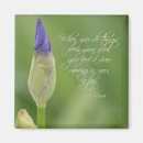 Search for rumi magnets Flowers