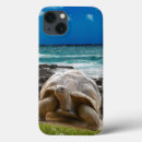 Search for amphibian ipad cases Background