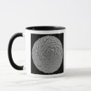 Search for regions mugs Mosaic