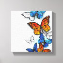 Search for blue morpho butterfly posters Moth