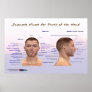 Search for japanese posters Karate