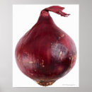 Search for red onions posters Food