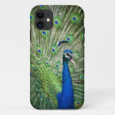 Search for peafowl iphone cases Animal