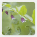 Search for national flower stickers Green