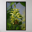 Search for inspirational message art Inspire