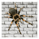 Search for dimensional posters Decorative