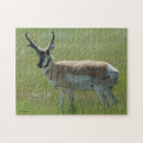 Search for americana puzzles Antelope