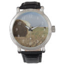 Search for route 66 watches Julien mcroberts