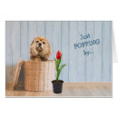 Search for cocker spaniel birthday cards funny