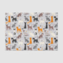 Search for cat paw print tissue paper Cats
