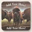 Search for herd coasters Buffalo