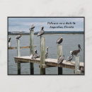 Search for restful postcards Wildlife