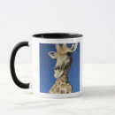 Search for giraffa camelopardalis mugs Nature
