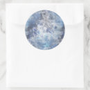 Search for ice blue snowflakes stickers Modern