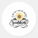 Search for find stickers Sunshine
