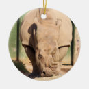 Search for zoo christmas tree decorations Endangered
