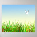 Search for doves posters Freedom