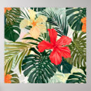 Search for tropical plants posters Hawaiian