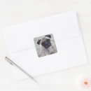 Search for pug face stickers Adorable