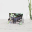 Search for scotland birthday cards Animals