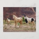 Search for indian reservation postcards Usa