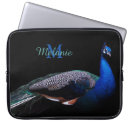 Search for peacock bird cases Black