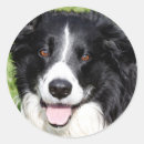 Search for photograph stickers Happy